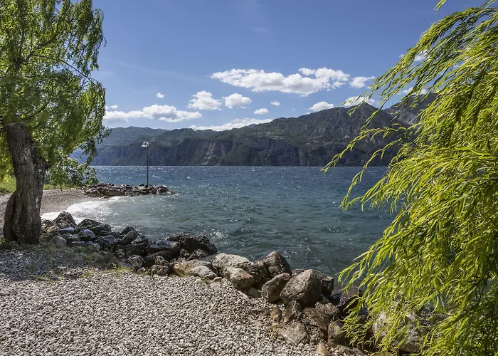 Al Molino 말세진느